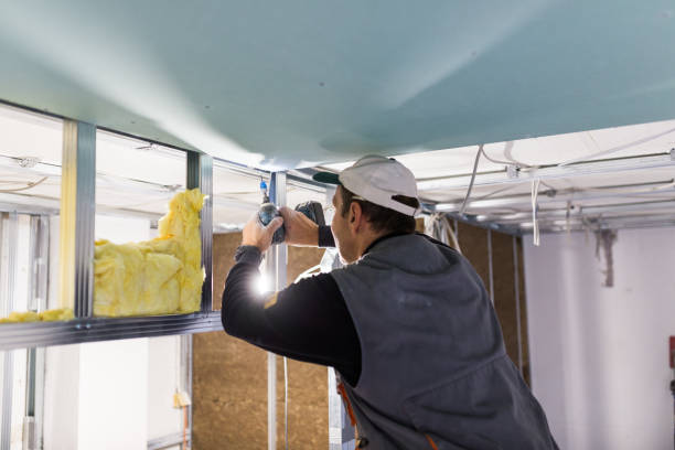 Types of Insulation We Offer in Romoland, CA