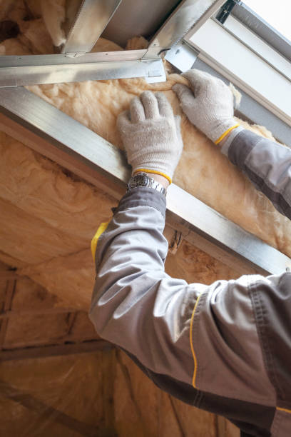 Best Geographic-Specific Insulation Services in Romoland, CA