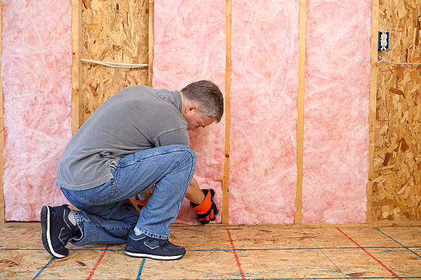 Best Specialized Insulation Services in Romoland, CA